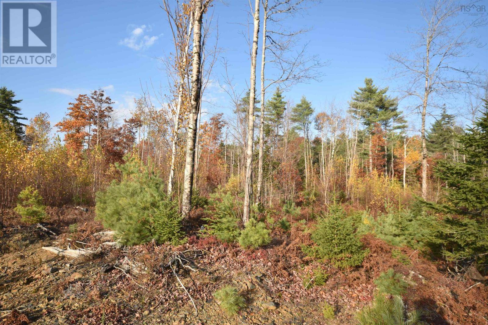 Midville Branch, NS B4V4S9,Lot 25-1 Upper Branch Road