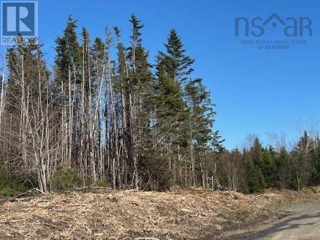 Salmon River, NS B0E3B0,Salmon River Road