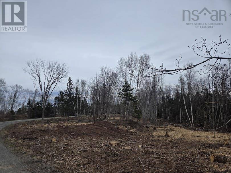 Caribou River, NS B0K1H0,Lot 21 Birch Hill Lane