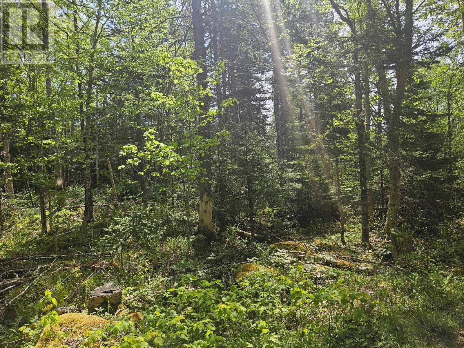New Russell, NS B0J2M0,22A Maple Drive