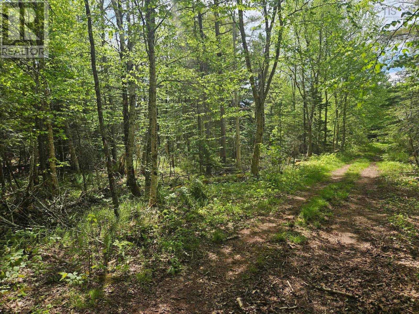 New Russell, NS B0J2M0,22A Maple Drive