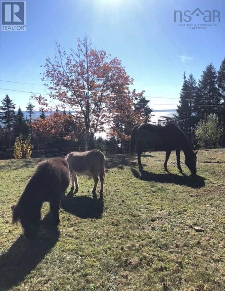 Brookville, NS B0M1S0,7787 Highway 209