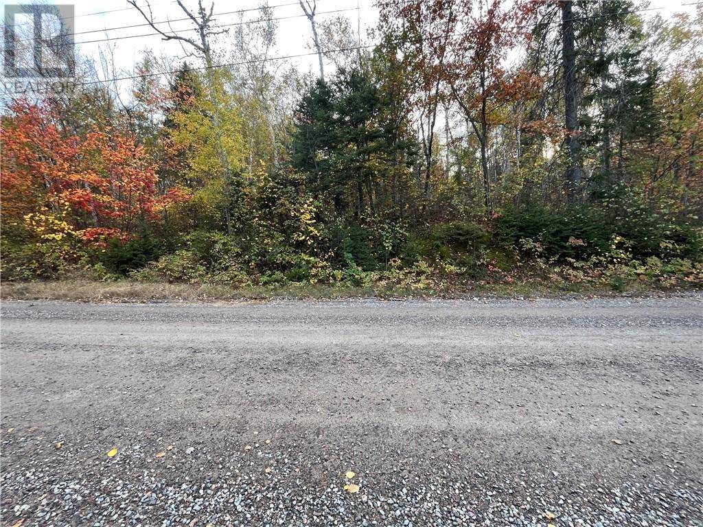 Greater Sudbury, ON P3P1R3,Lot 0 Hanmer Lake Road E