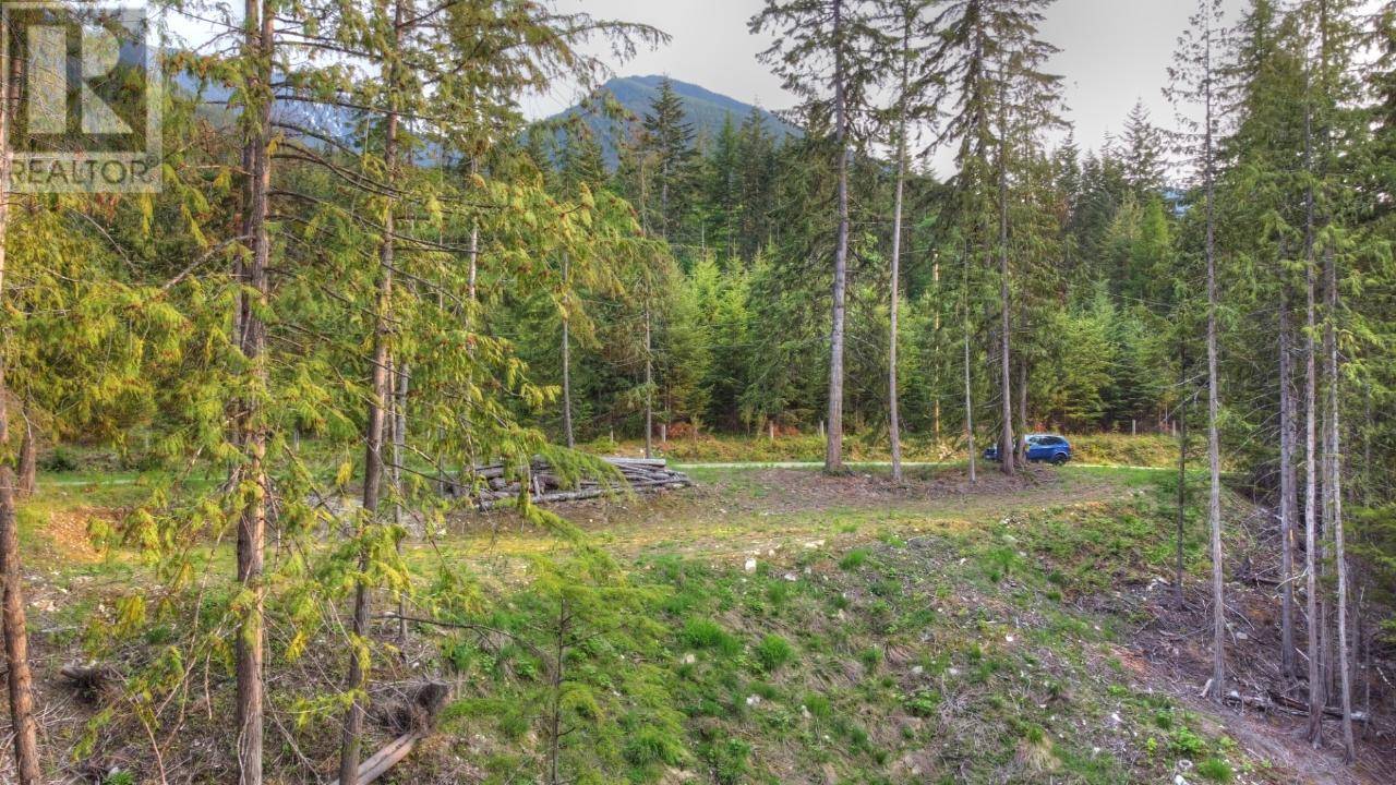 Procter, BC V0G1V0,8315 CHANTON Road