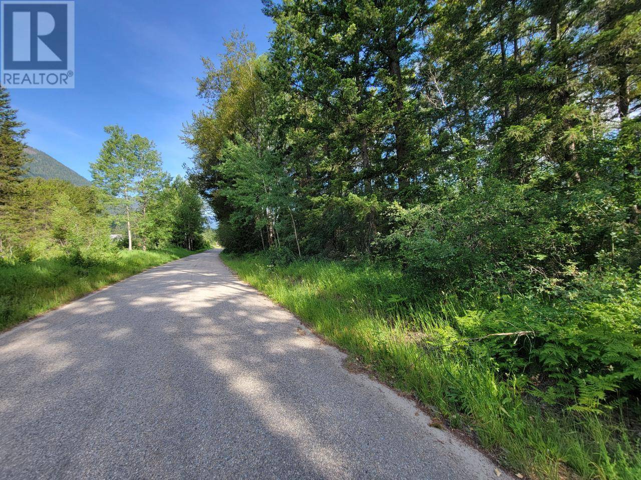 Passmore, BC V0G2J0,Lot 1 PASSMORE OLD Road