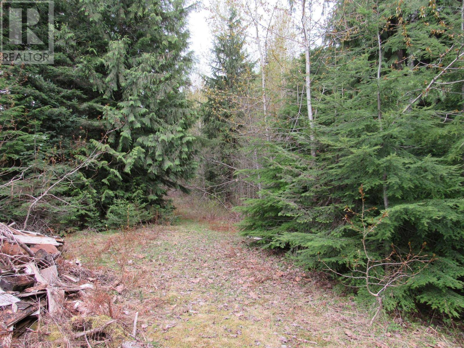 Salmo, BC V0G1Z0,Lot B 3 Highway