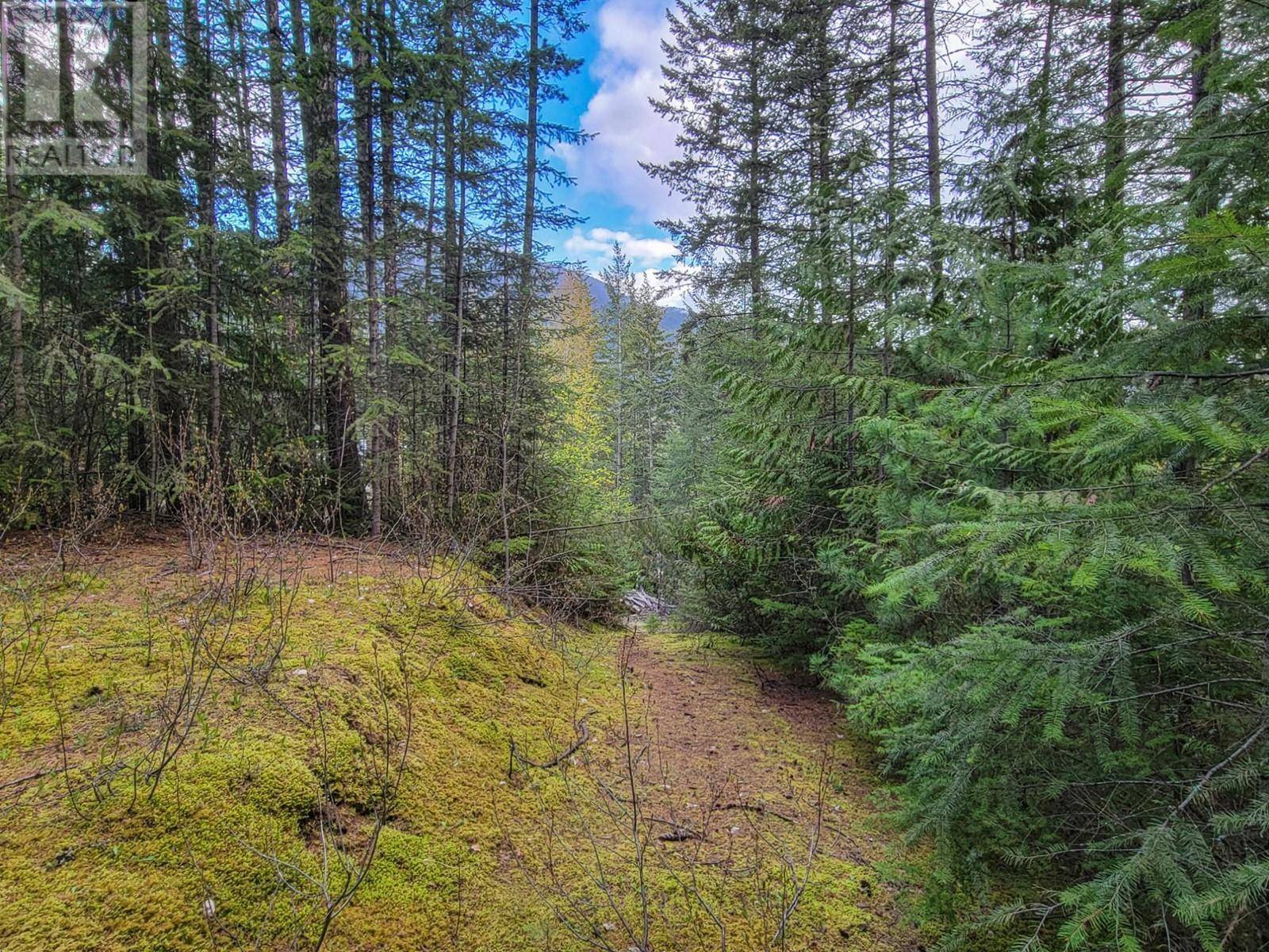 Kaslo, BC V0G1M0,LOT 8 BALFOUR Avenue