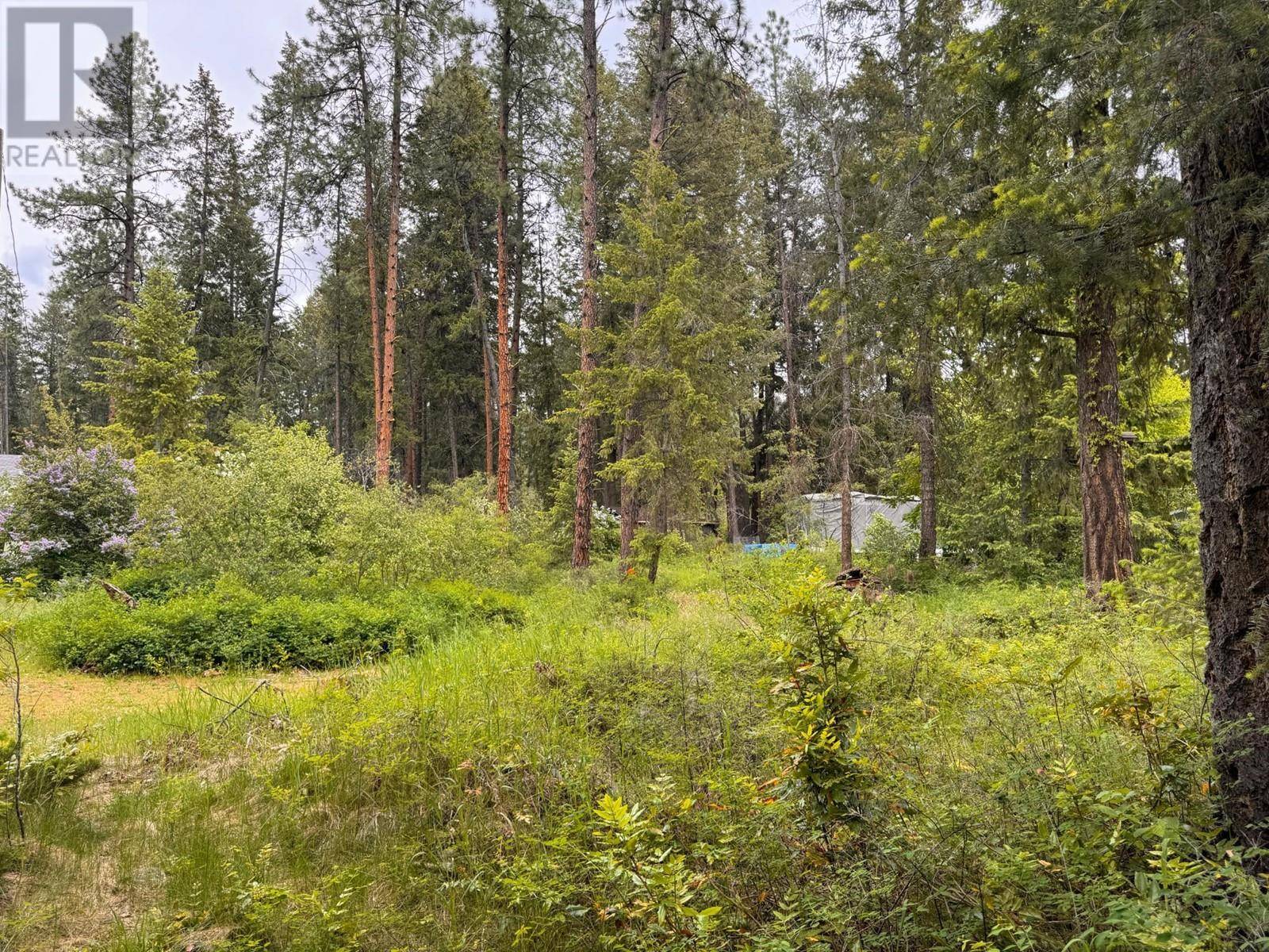 Christina Lake, BC V0H1E2,Lot 20 Kingsley Road