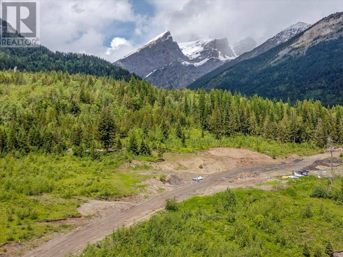 Fernie, BC V0B1M0,200 BURMA RD #LOT 9