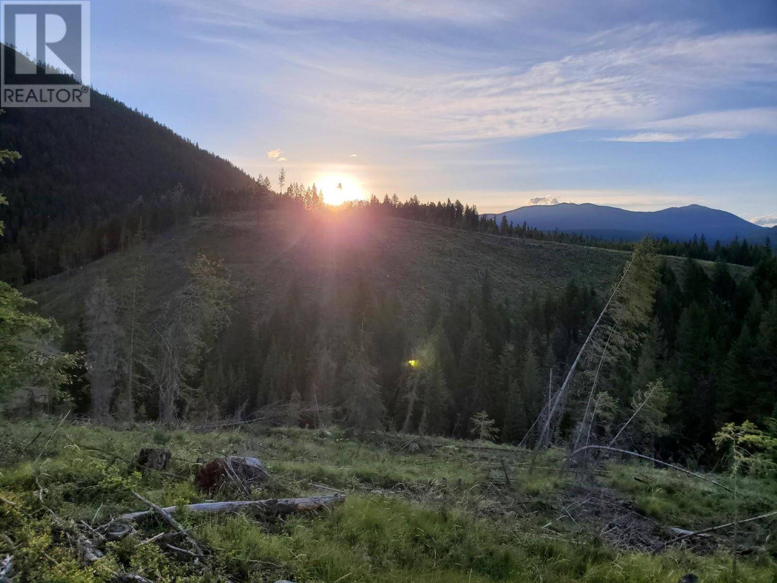 Cranbrook, BC V1C6X2,442 LUMBERTON Road