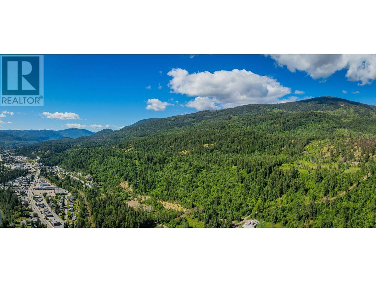 Castlegar, BC V1N4J4,1402 WOODLAND Drive