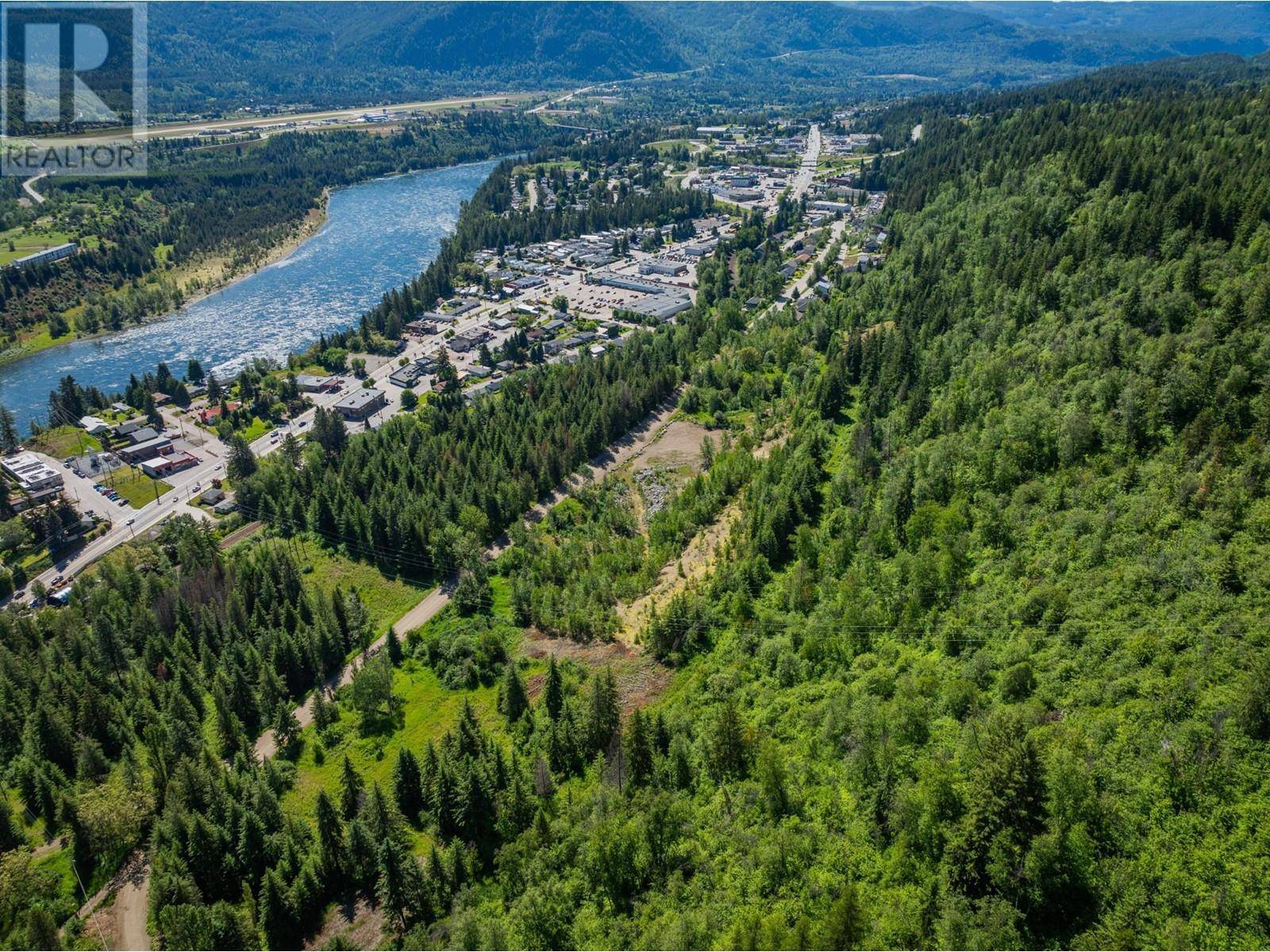 Castlegar, BC V1N4J4,1402 WOODLAND Drive