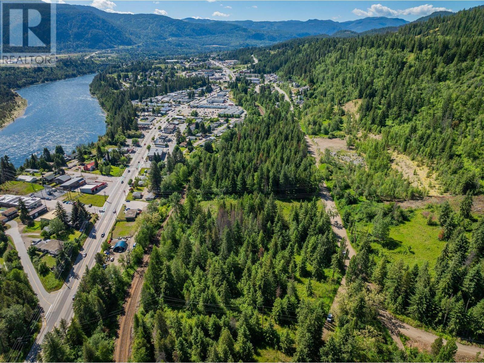 Castlegar, BC V1N4J4,1402 WOODLAND Drive