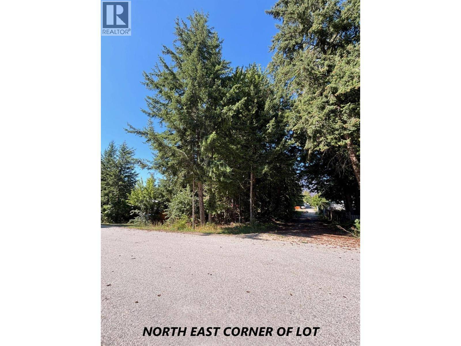 New Denver, BC V0G1S0,PARCEL C COLUMBIA Street