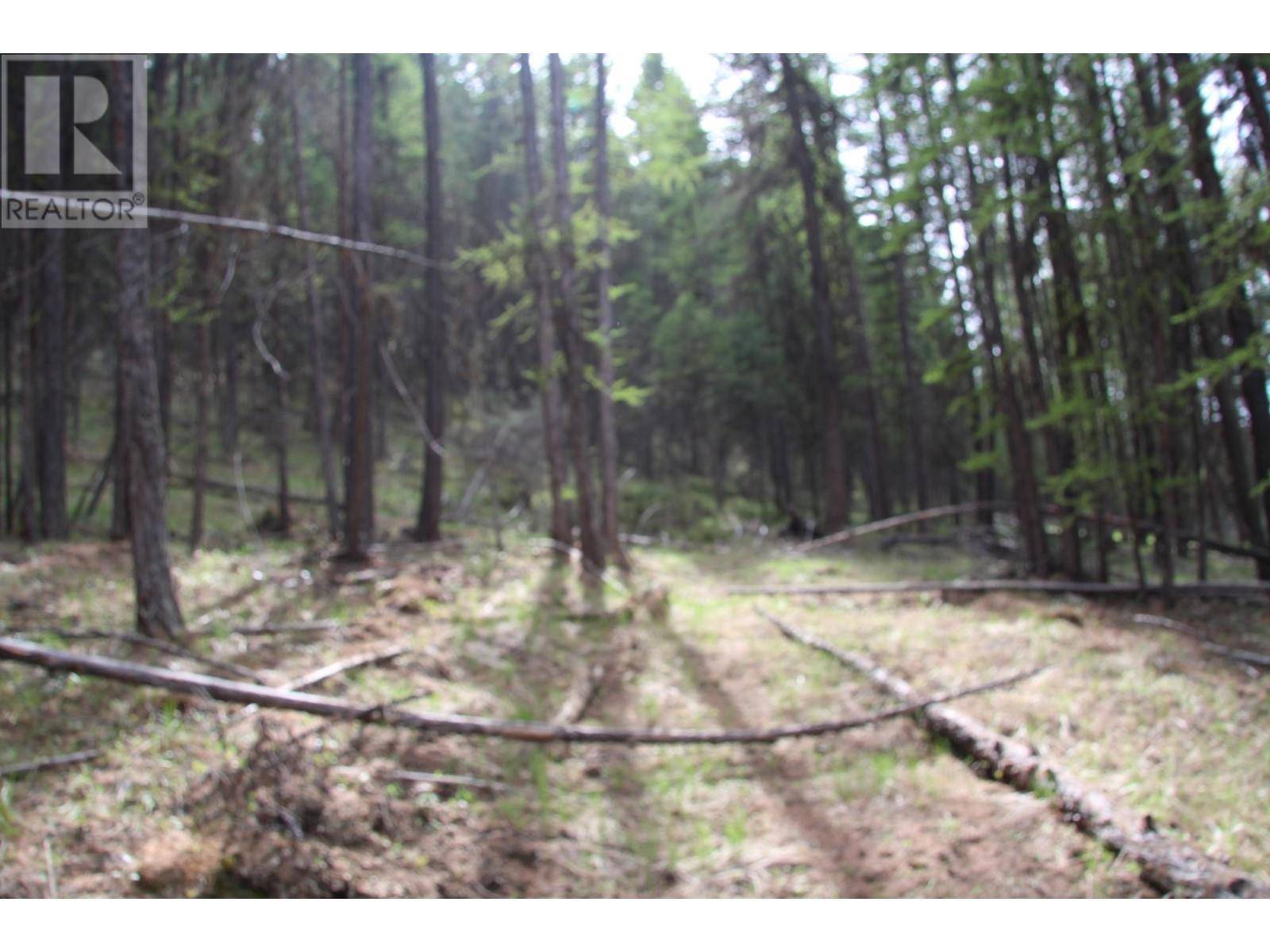 Wardner, BC V0B2J0,Lot 18 OSPREY LANDING Drive