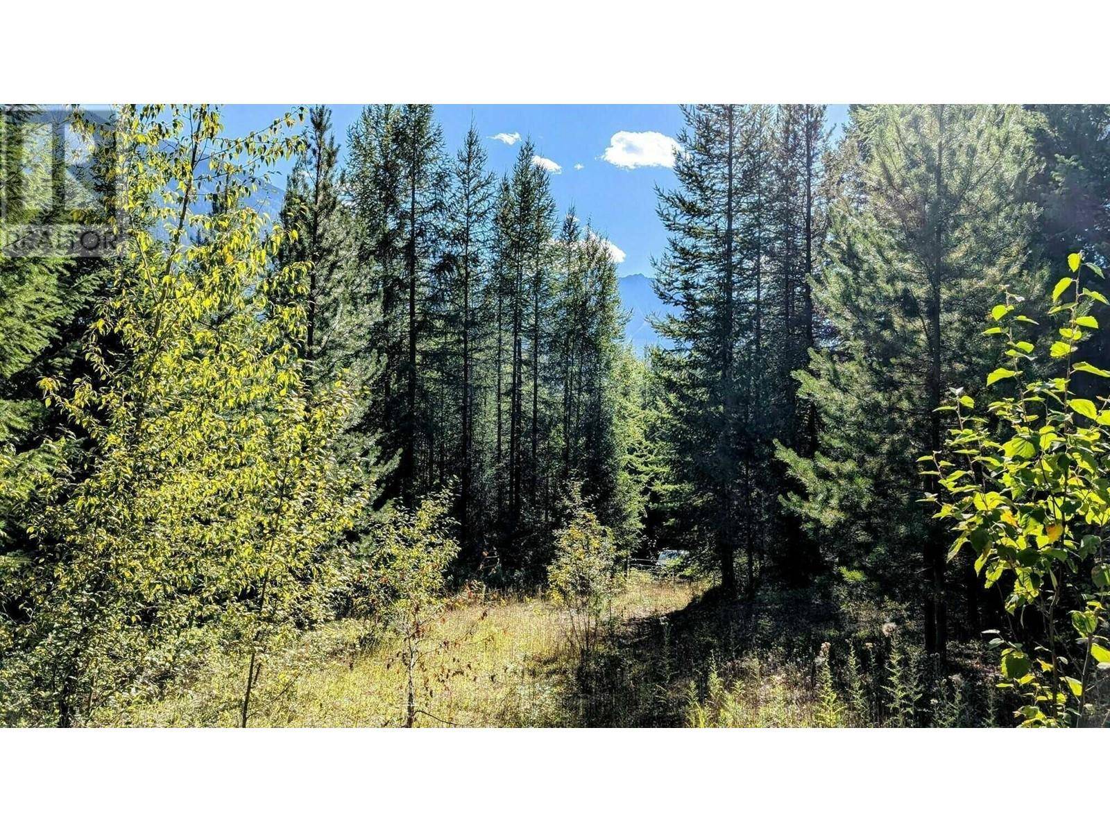 Kimberley, BC V1A3K4,Lot 11 ST MARY LAKE Road