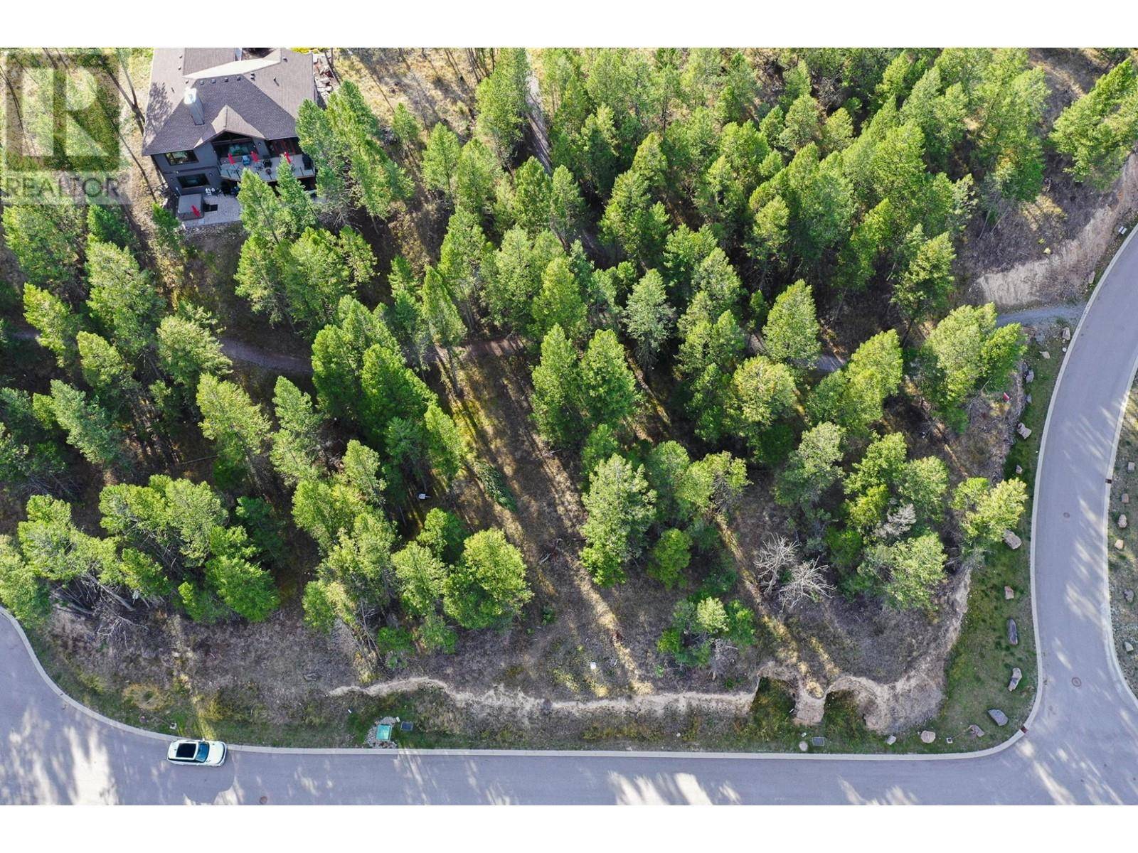 Invermere, BC V0A1K4,Lot 49 PINE RIDGE MOUNTAIN Place