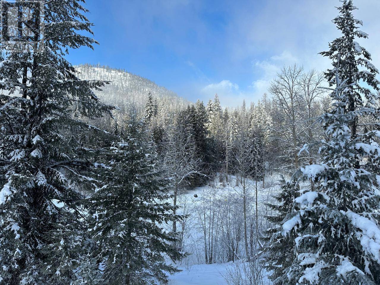 Rossland, BC V0G1Y0,3923 OLD RED MOUNTAIN Road