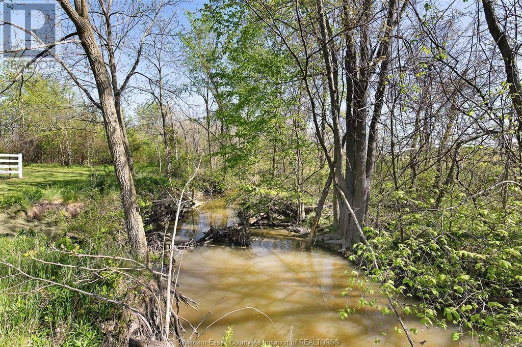 Kingsville, ON N9Y2E4,564 ROAD 2 West