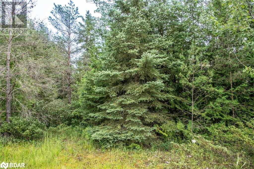 Kawartha Lakes, ON K0M2B0,LOT 250 MCGUIRE BEACH Road