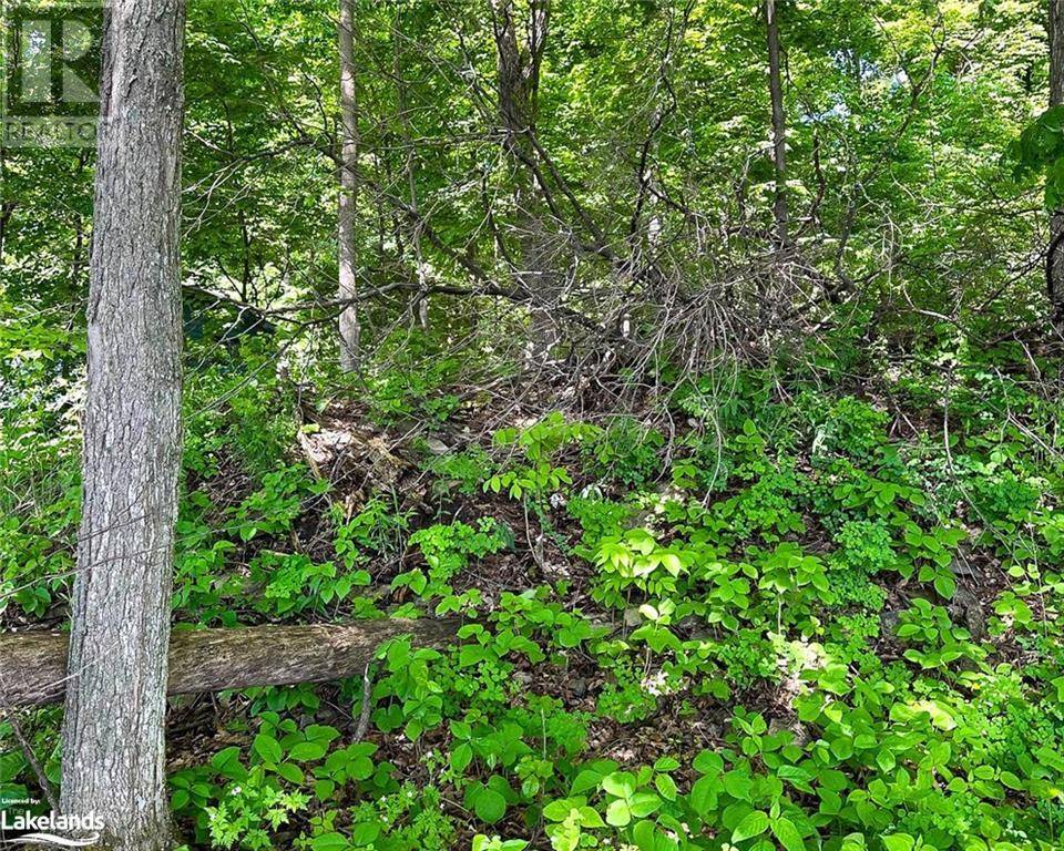 Georgian Bay Twp, ON P0E1E0,1460 ISLAND 404/QUARRY Island