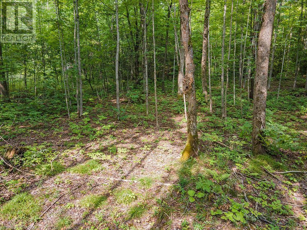 Grey Highlands, ON N0C1E0,LOT 6 10TH Concession