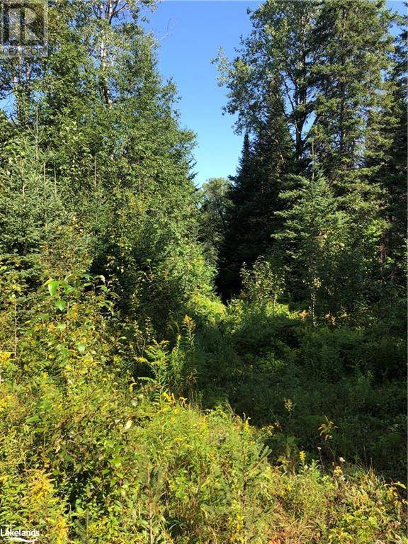 Haliburton, ON K0M1S0,LOT 6-10 MOON Road