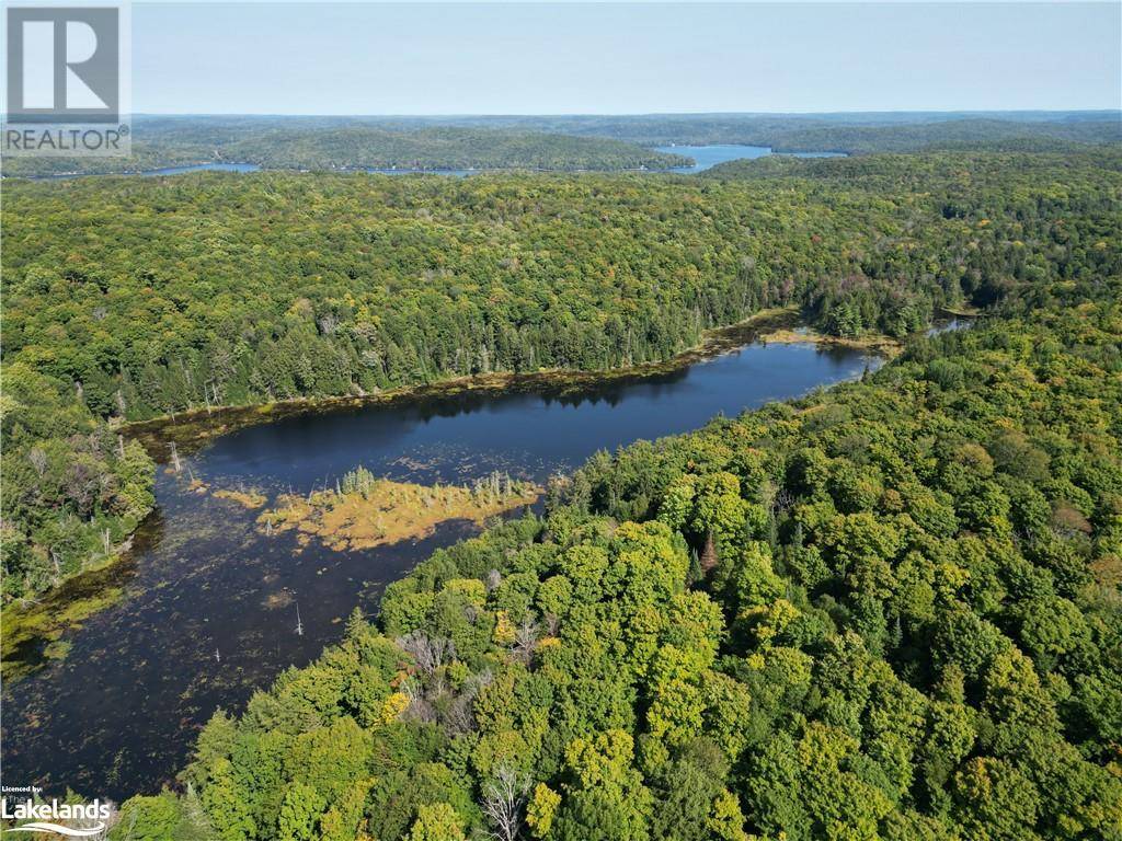 Haliburton, ON K0M1S0,0 BUSHWOLF LAKE Road