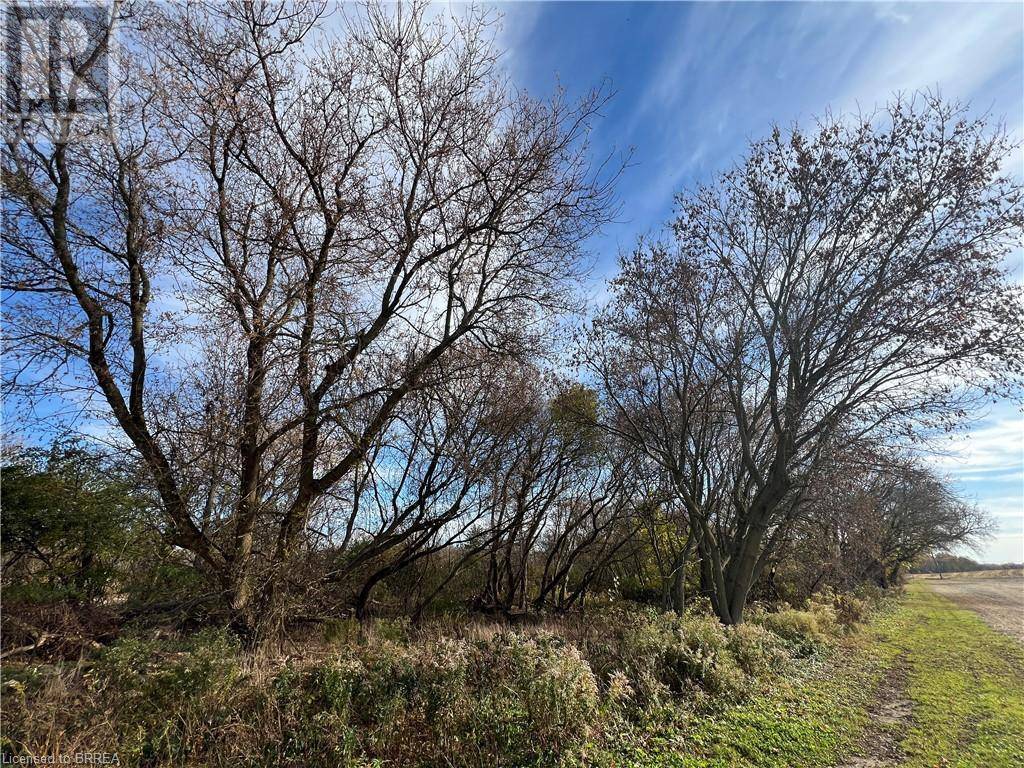 Mount Pleasant, ON N0E1K0,567 BURTCH Road
