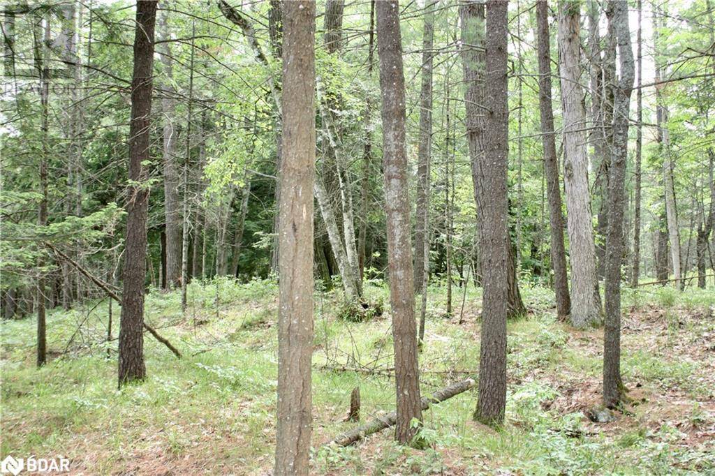 Havelock, ON K0L2H0,0 KASSHABOG LAKE #Lot 2