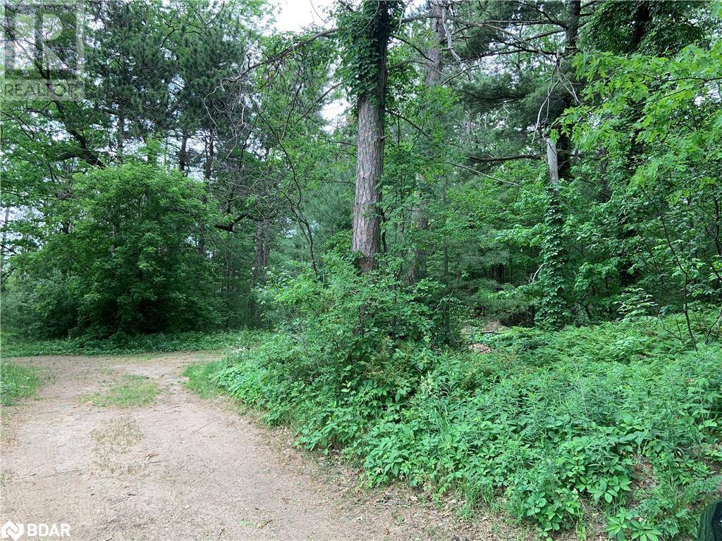 Wasaga Beach, ON L9Z2X5,8 POPLAR Street