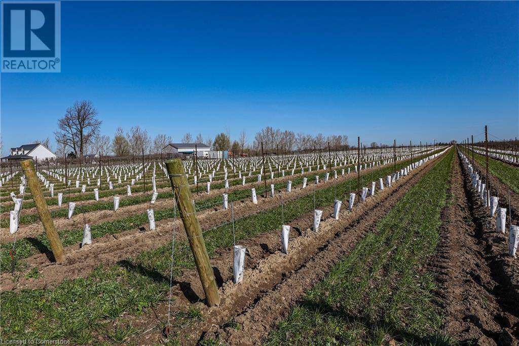 Niagara-on-the-lake, ON L0S1J0,LOT1 LINE 1 Road