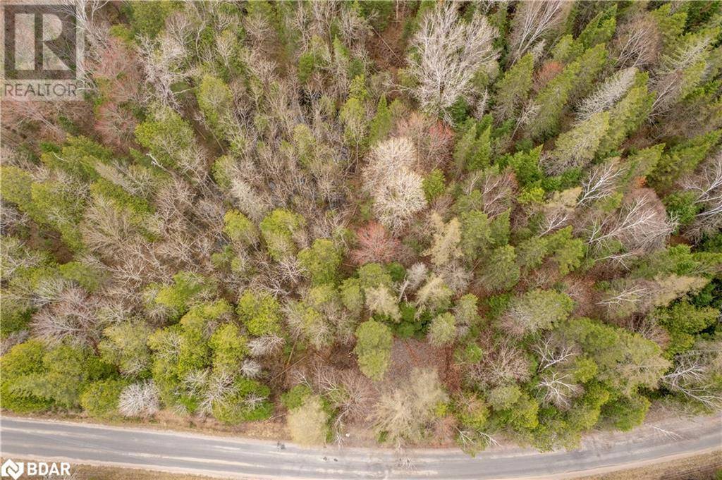 Haliburton, ON K0M1R0,1272 URSA Road