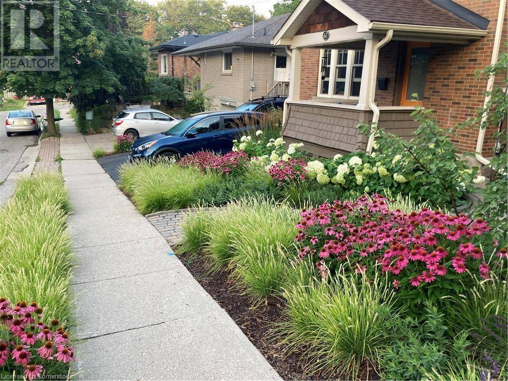 Guelph, ON N1H3G3,67 ALLAN Avenue
