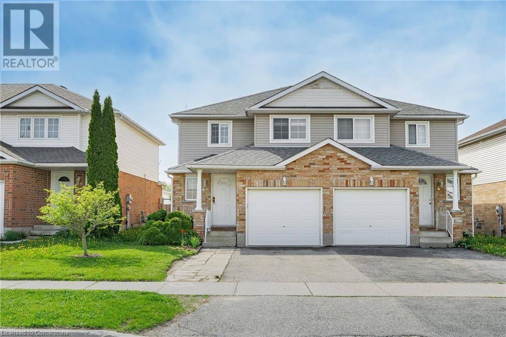 Kitchener, ON N2E3R9,46 HACKBERRY Street