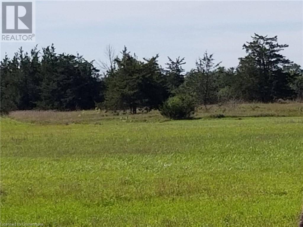 Napanee, ON K0K2Z0,120 DRIVE IN Road W