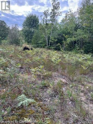 Lambton Shores (munic), ON N0N1J0,PT LOT 7 WEST IPPERWASH Road