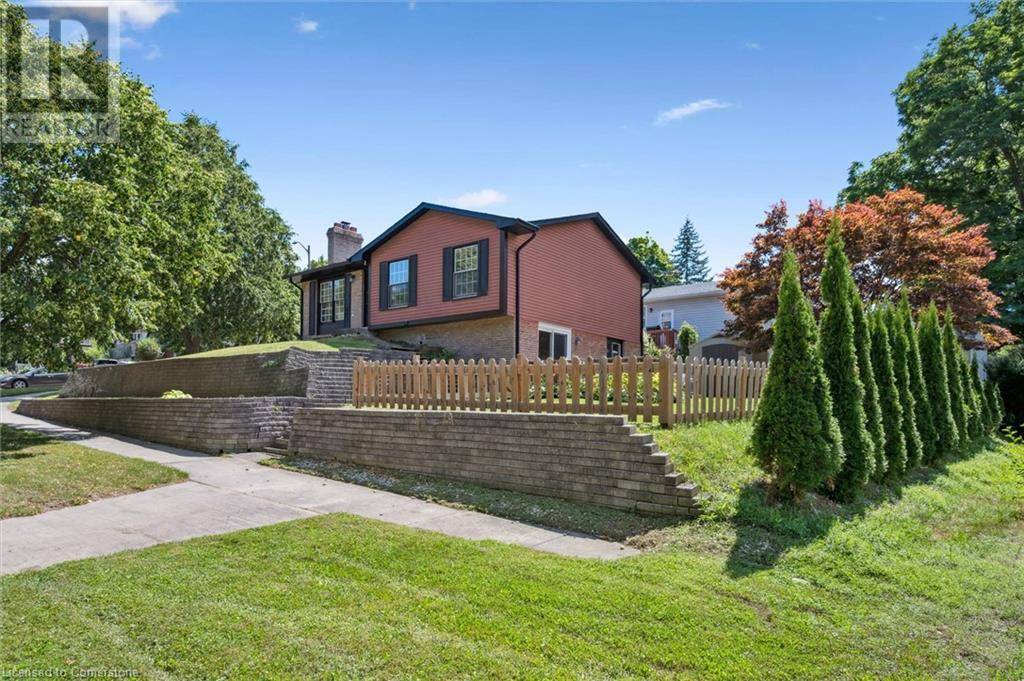 Kitchener, ON N2B3J9,113 MATTHEW Street