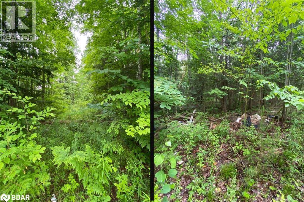 Innisfil, ON L9S4S3,2580 6TH Line