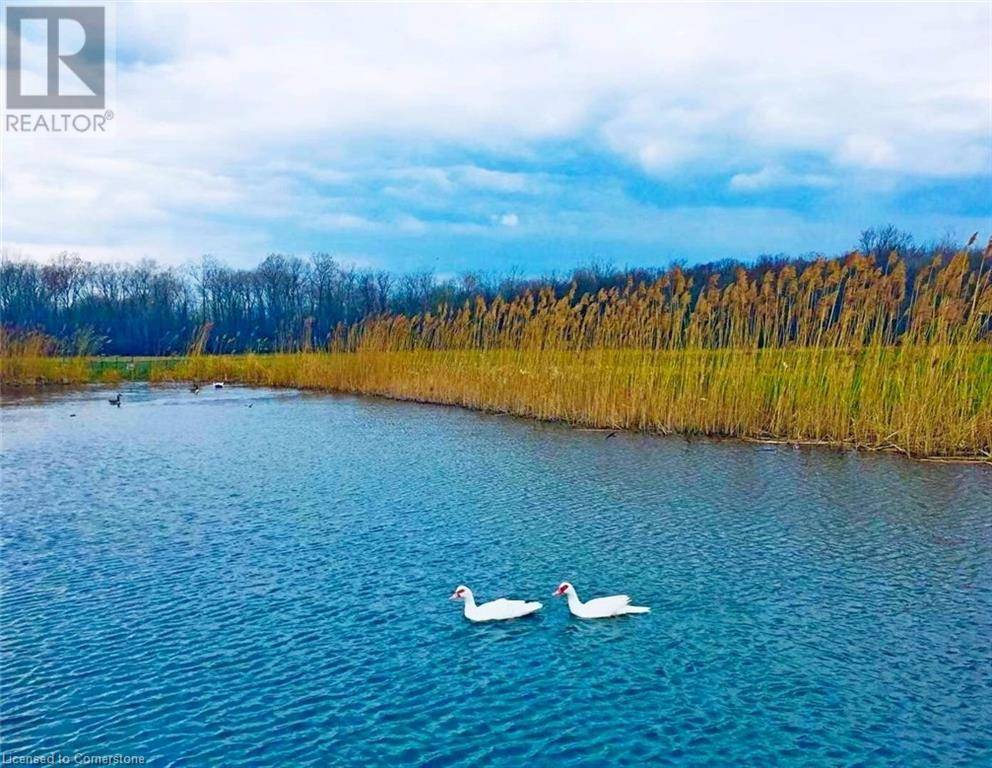 Wainfleet, ON L0S1V0,43670 SIDER Road