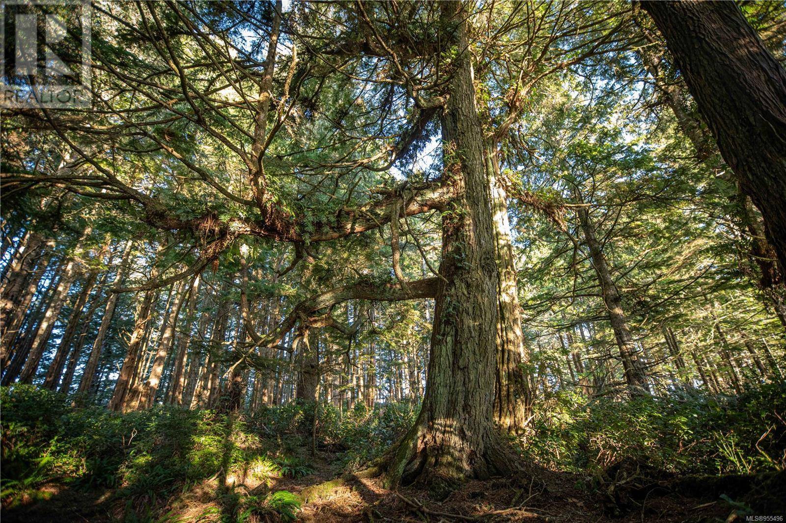 Ucluelet, BC V0R3A0,0 Francis Island