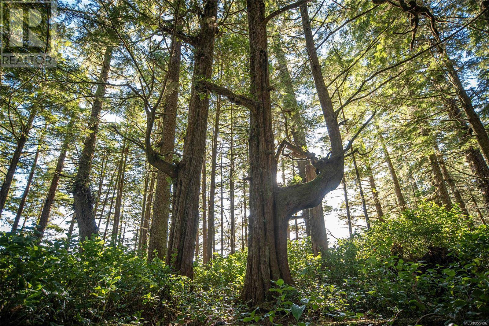 Ucluelet, BC V0R3A0,0 Francis Island