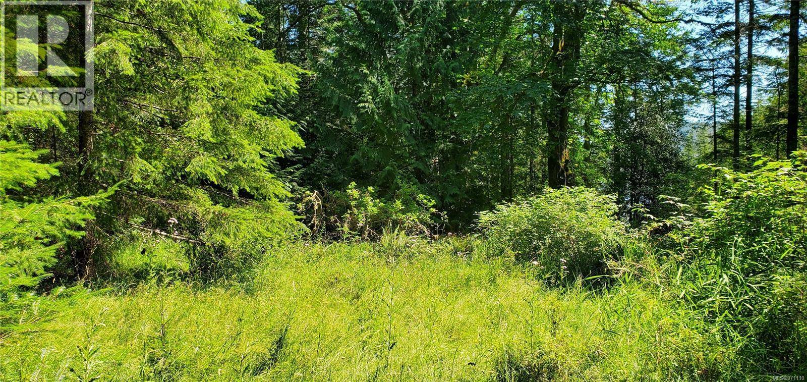 Quadra Island, BC V0P1H0,226 Bold Point Rd