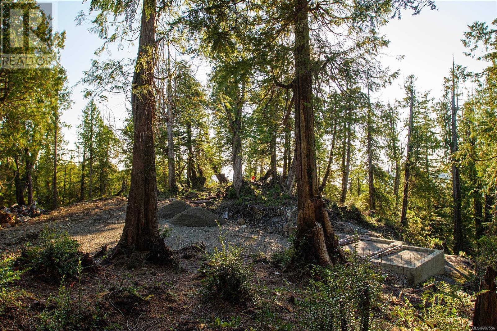 Tofino, BC V0R2Z0,340 Tonquin Park Rd