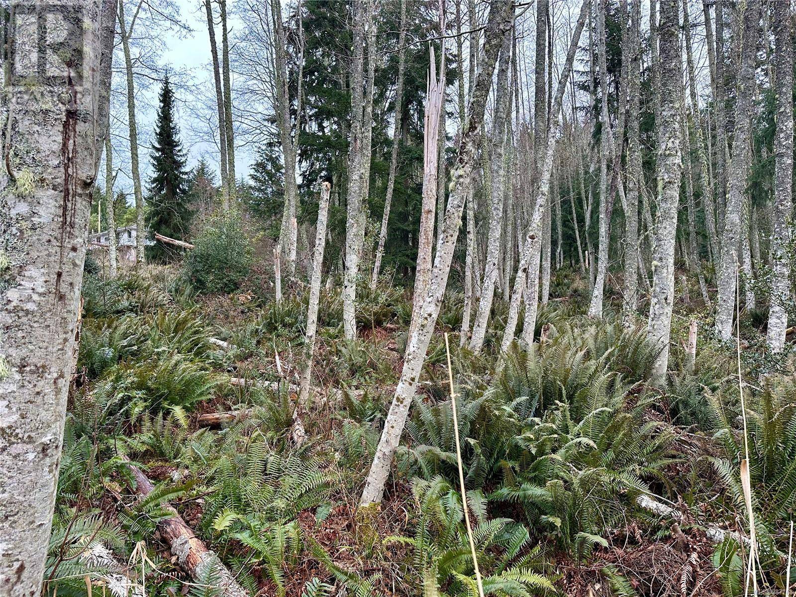 Salt Spring, BC V8K2B5,Lot 15 Dukes Rd