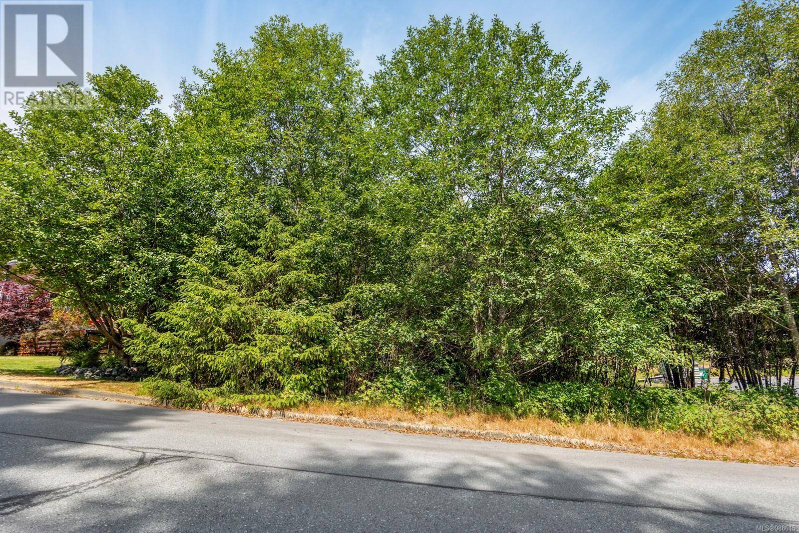 Sayward, BC V0P1R0,581 MacMillan Dr