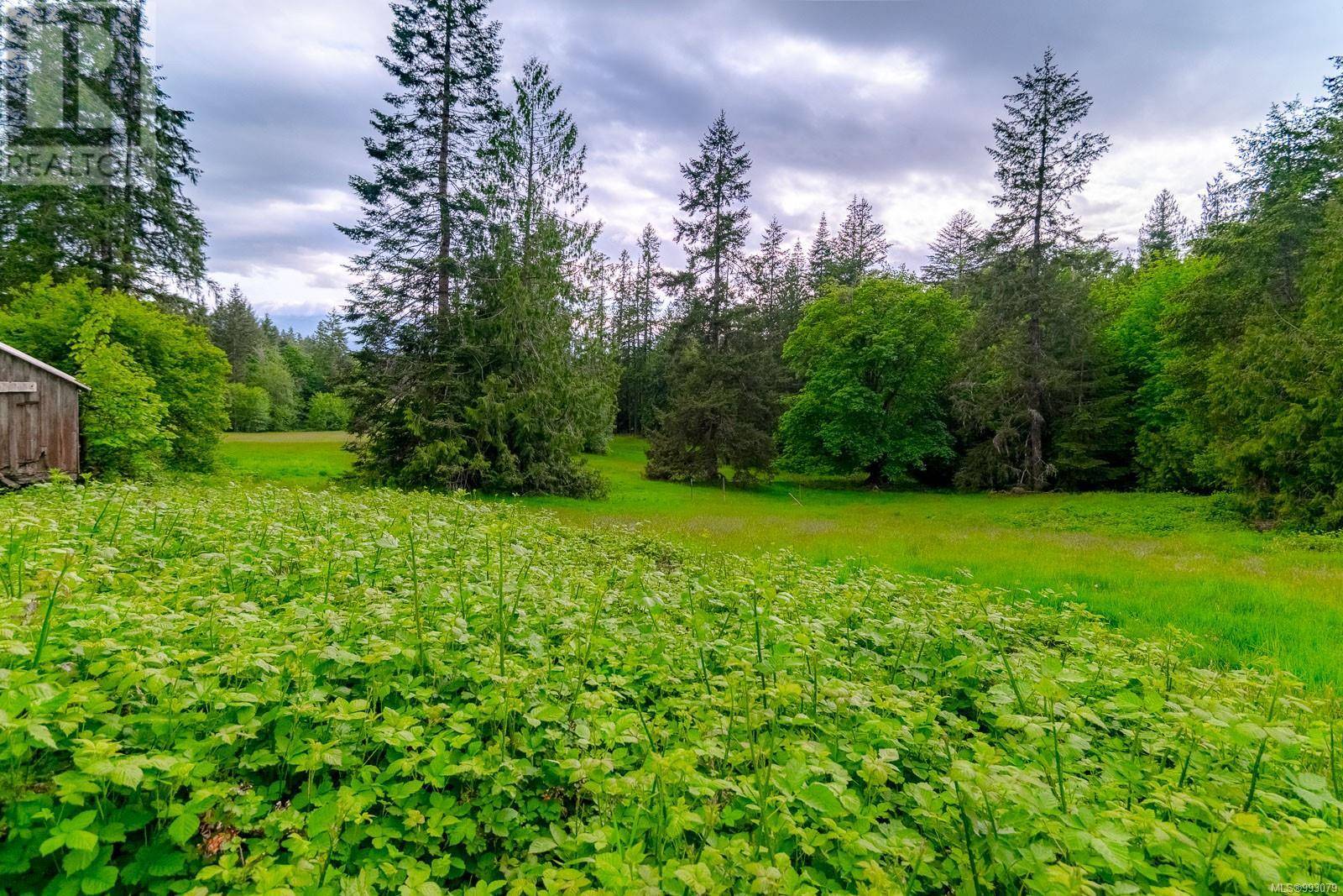 Port Alberni, BC V9Y8M4,6987 Bainbridge Rd