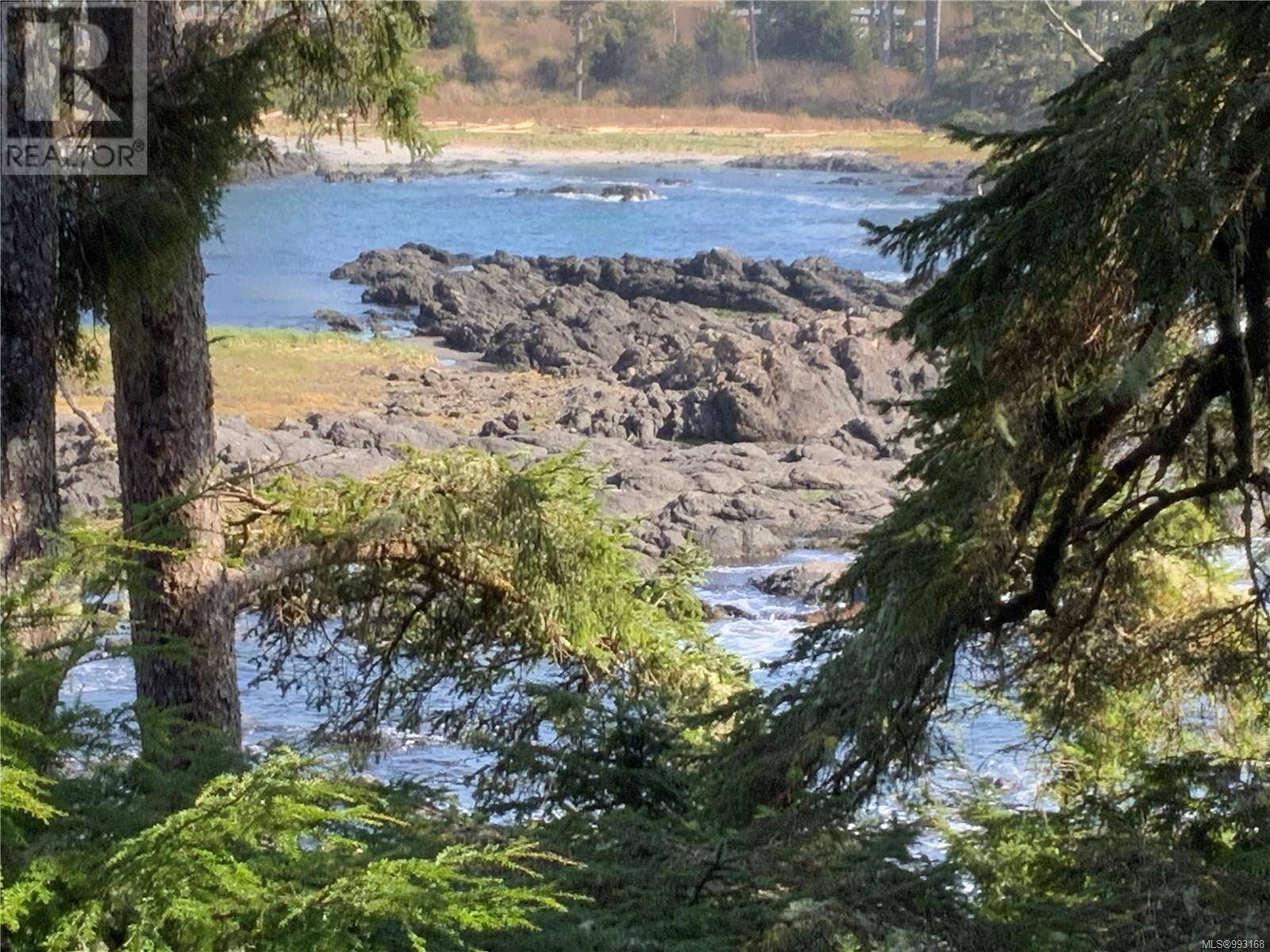 Ucluelet, BC V0R3A0,596 Marine DR #202