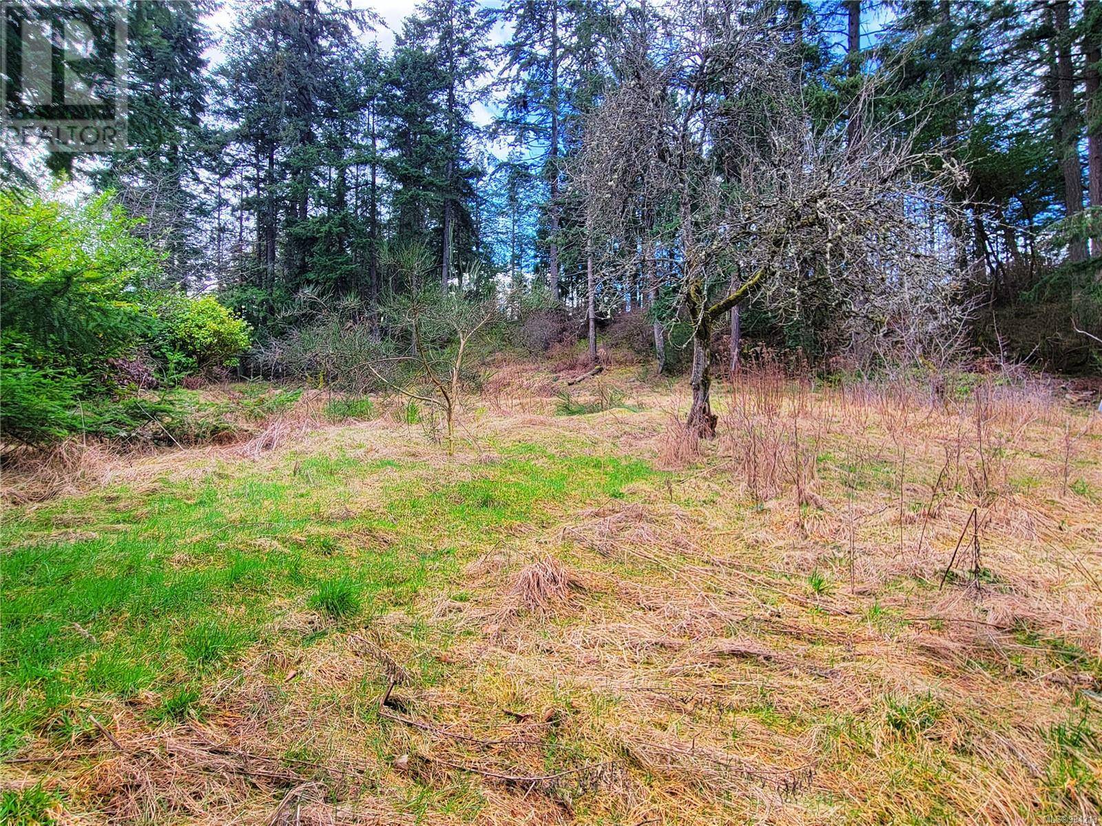 Nanaimo, BC V9R4J5,1015 Park Ave