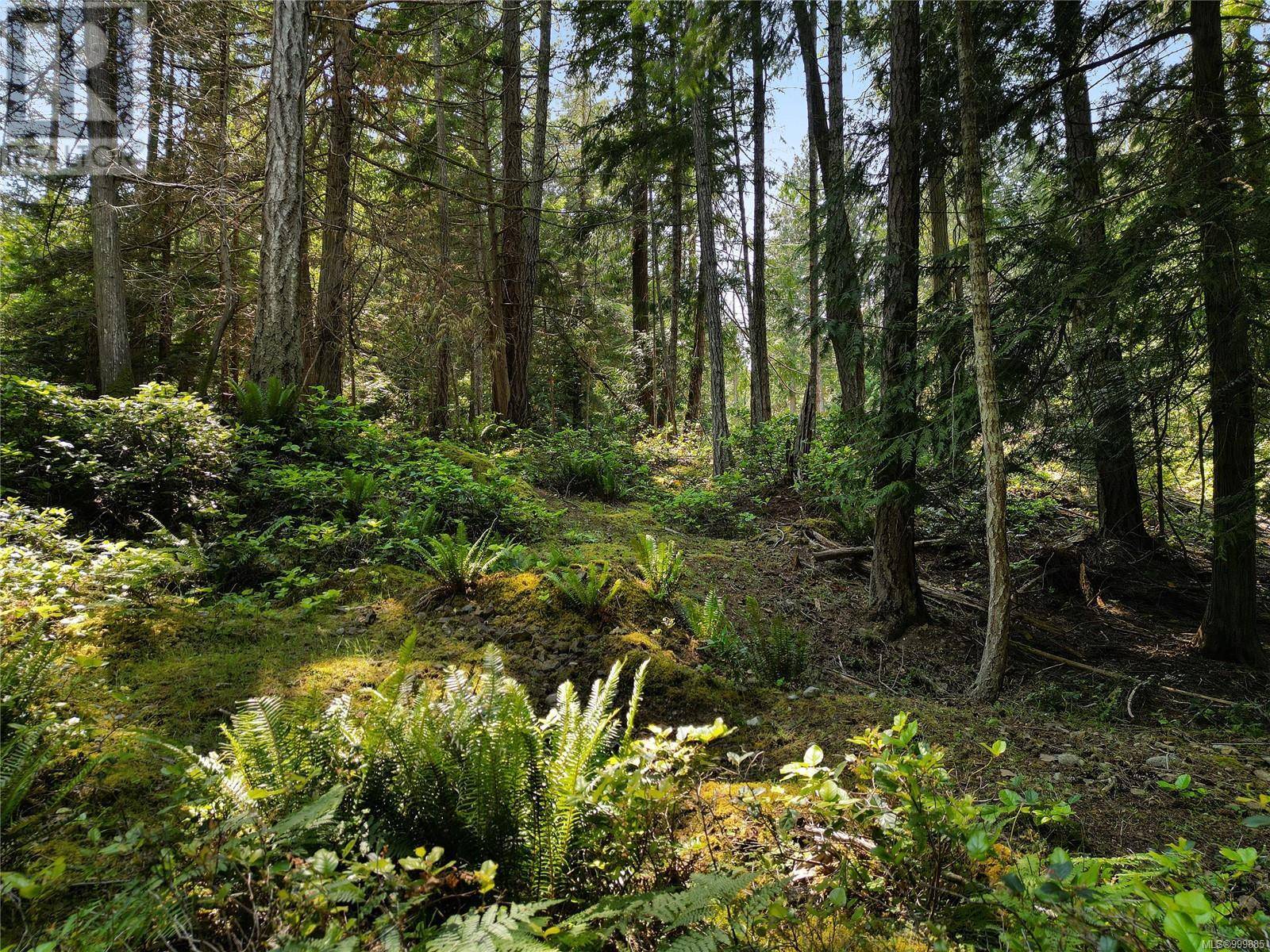 Mayne Island, BC V0N2J1,568 Aya Reach Rd